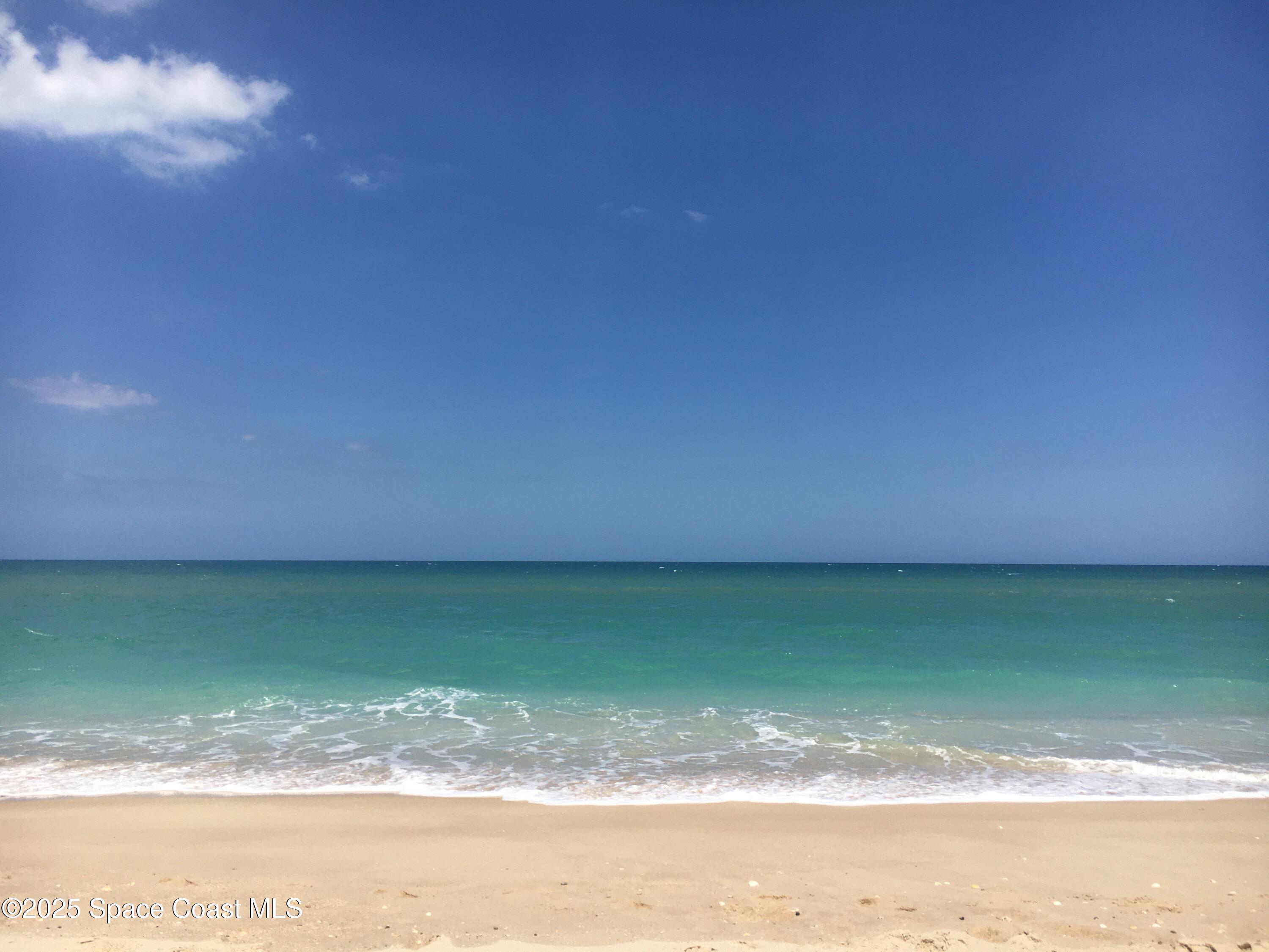 7 Cove Road Melbourne Beach, FL 32951 - Photo 54 of 55 a view of a yard with a sink