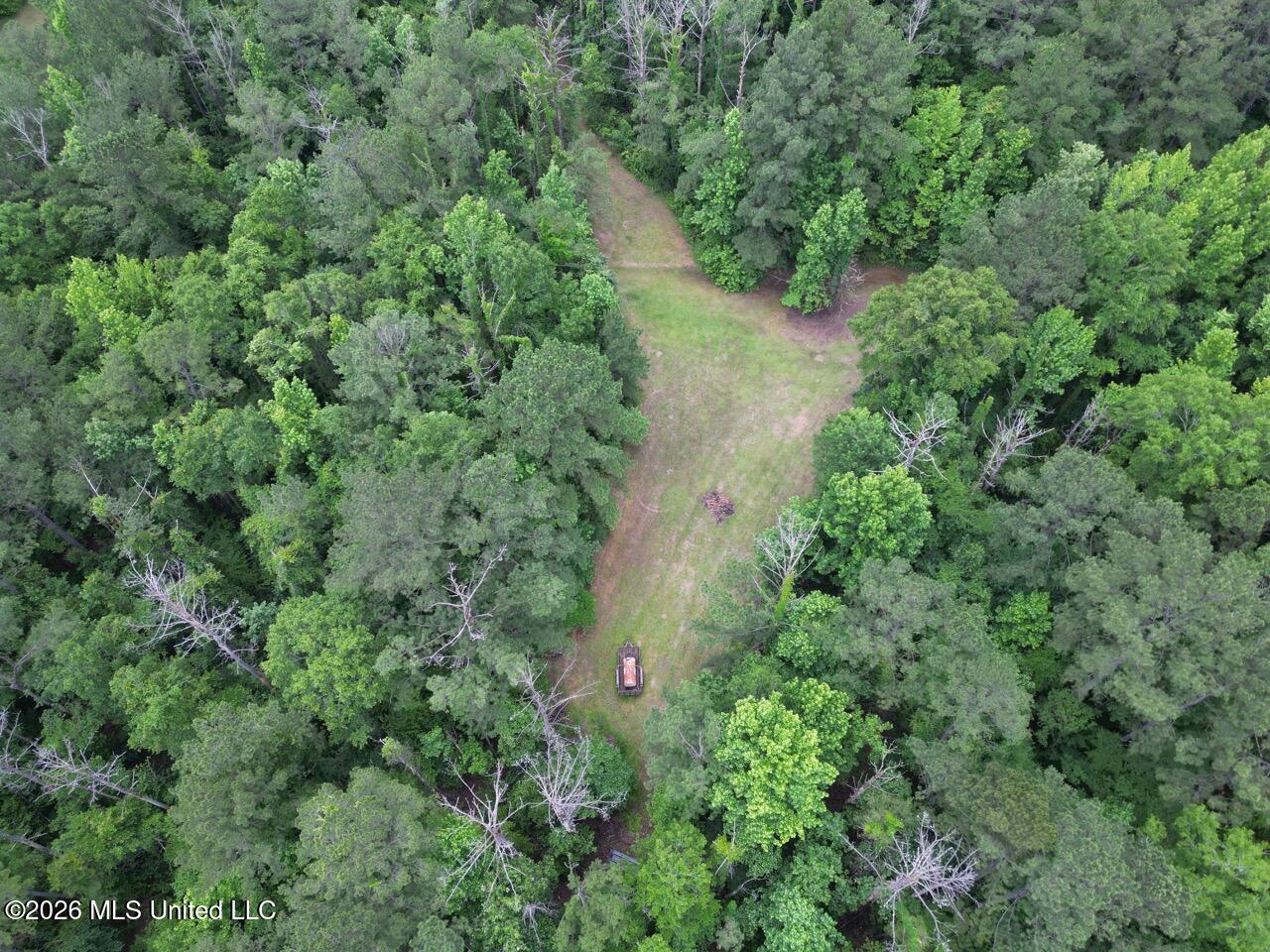 2986 Oldenburg Road Meadville, MS 39653 - Photo 8 of 44 DJI_0379 Large