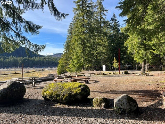 157 Northwoods Cougar, WA 98616 - Photo 12 of 27 a view of a ocean view