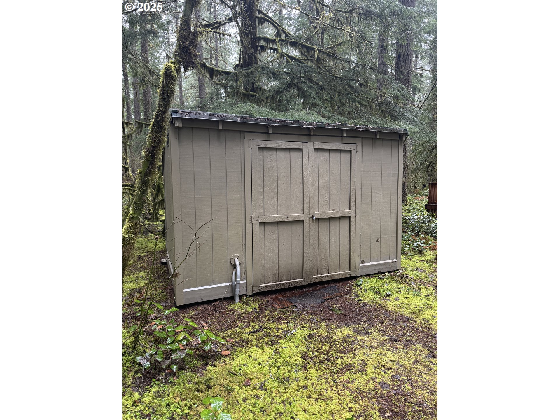 157 Northwoods Cougar, WA 98616 - Photo 27 of 27 a view of backyard