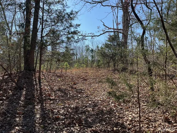 $110,000 | Parcel #2 Lake Road, Silva, MO 63964