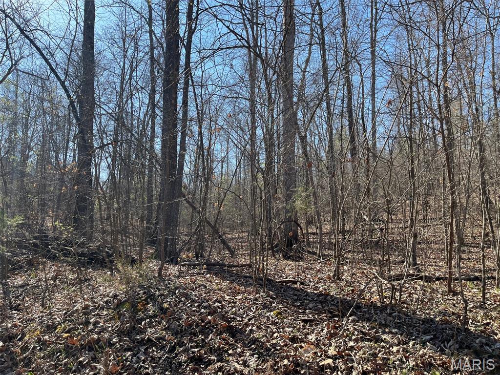 Parcel #2 Lake Road Silva, MO 63964 - Photo 12 of 18