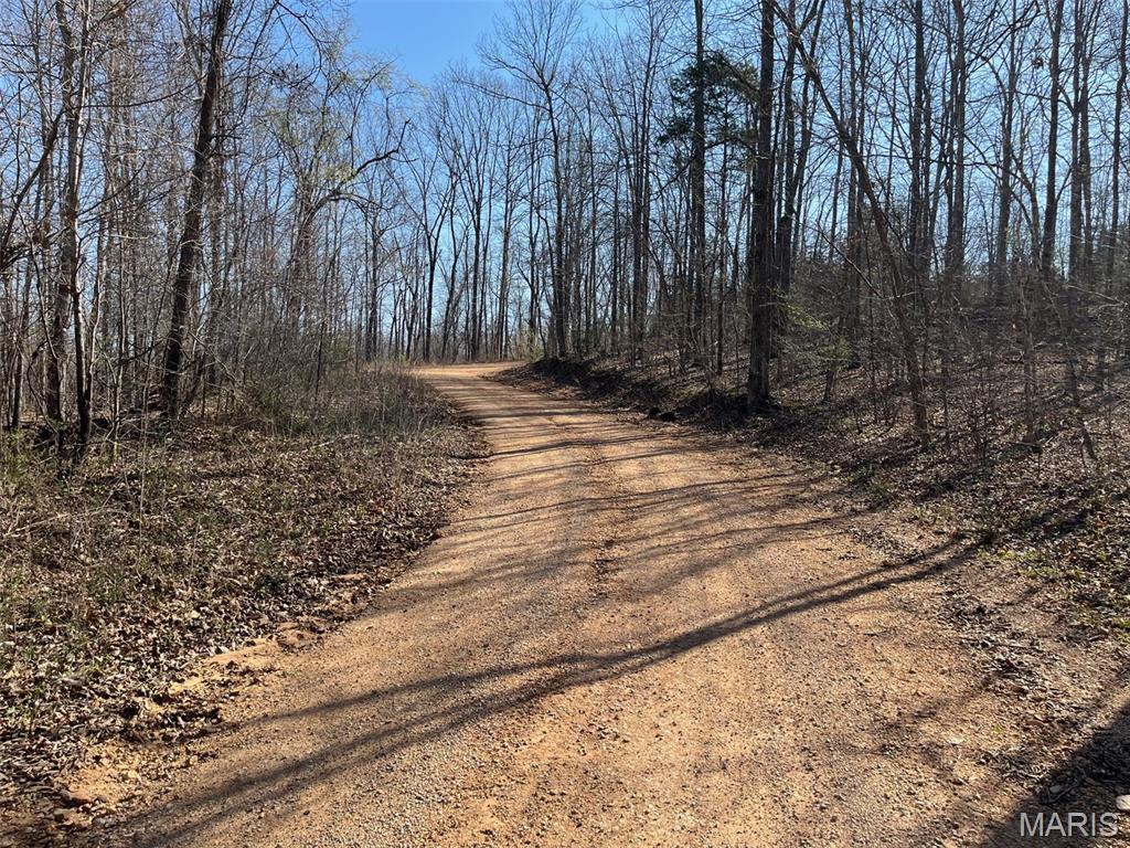 Parcel #2 Lake Road Silva, MO 63964 - Photo 13 of 18