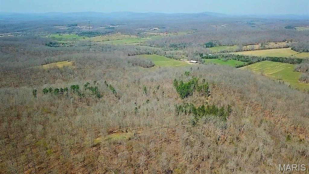 Parcel #2 Lake Road Silva, MO 63964 - Photo 17 of 18