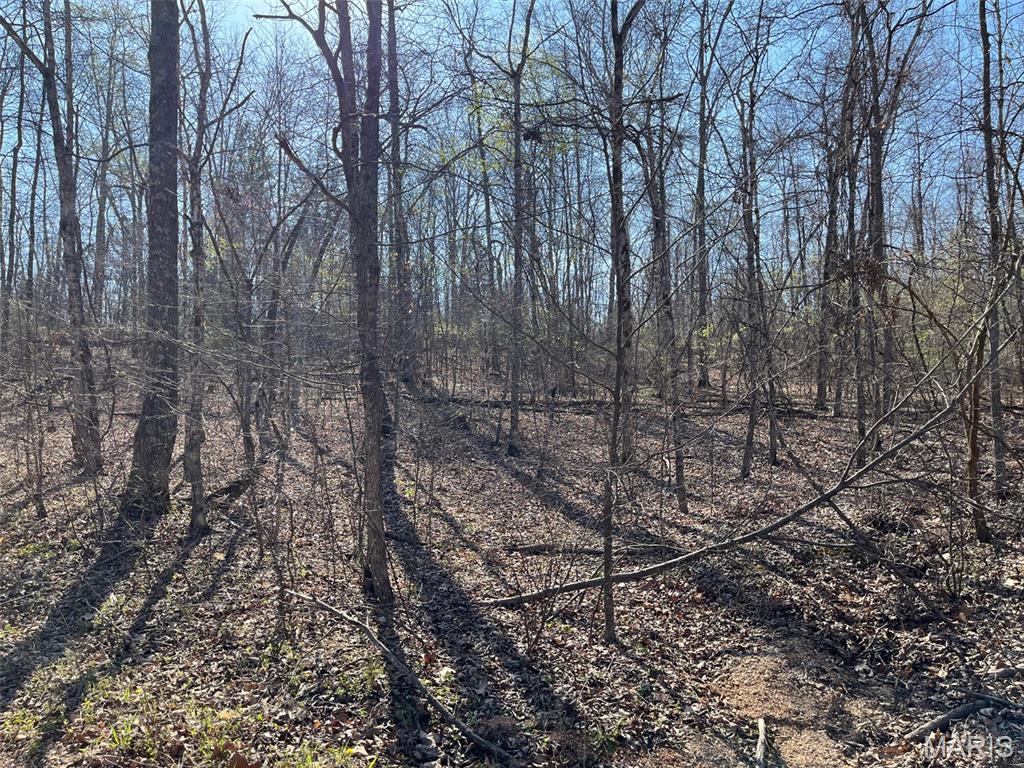 Parcel #2 Lake Road Silva, MO 63964 - Photo 3 of 18