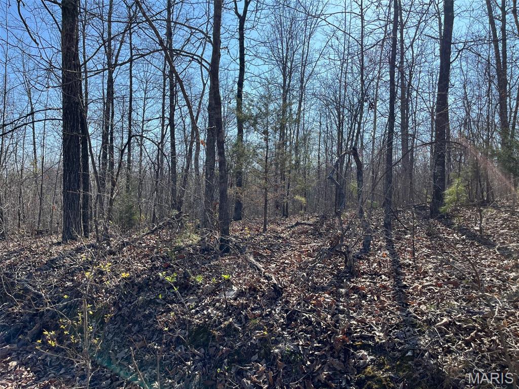 Parcel #2 Lake Road Silva, MO 63964 - Photo 4 of 18