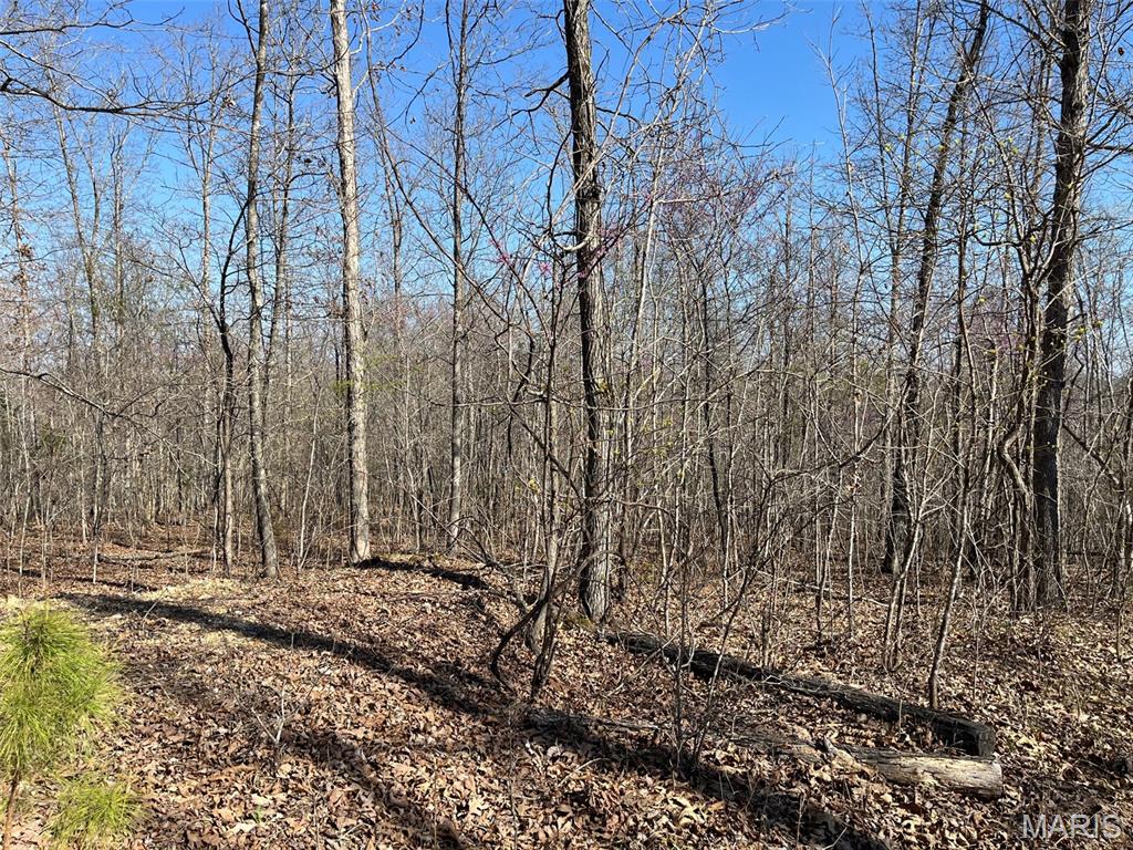 Parcel #2 Lake Road Silva, MO 63964 - Photo 5 of 18