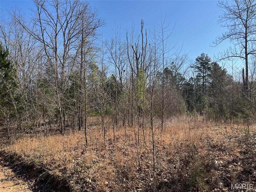 Parcel #2 Lake Road Silva, MO 63964 - Photo 6 of 18