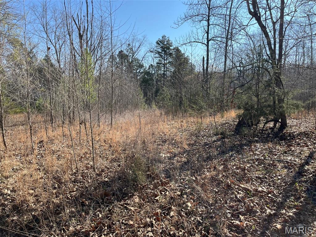 Parcel #2 Lake Road Silva, MO 63964 - Photo 7 of 18