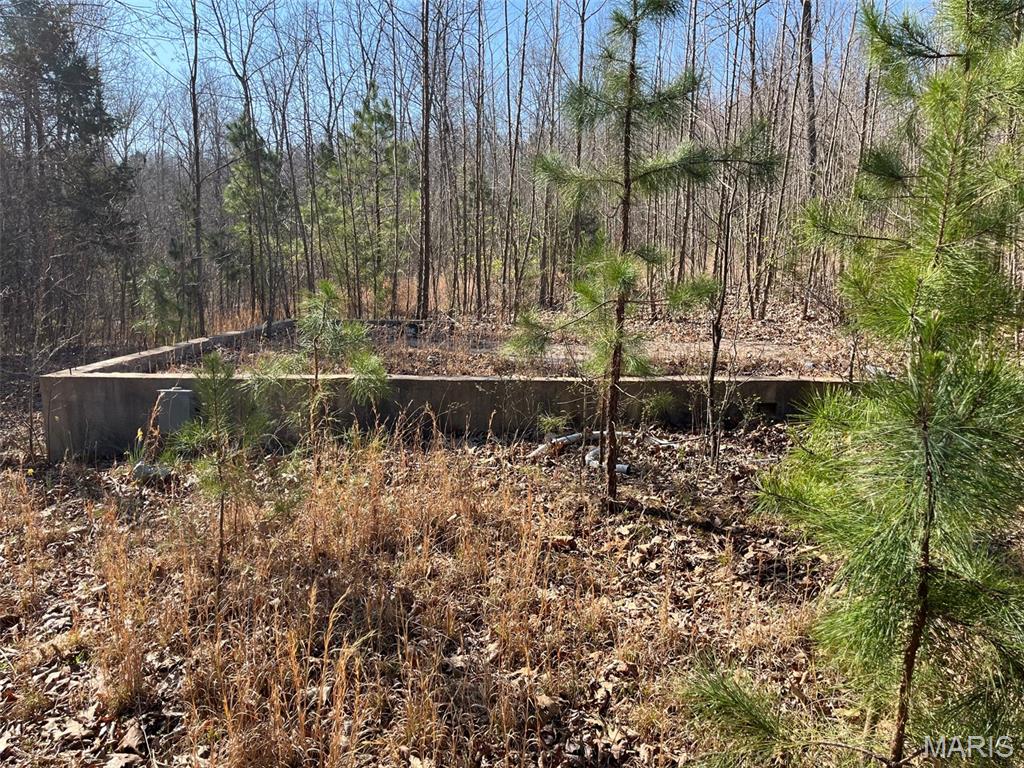 Parcel #2 Lake Road Silva, MO 63964 - Photo 9 of 18