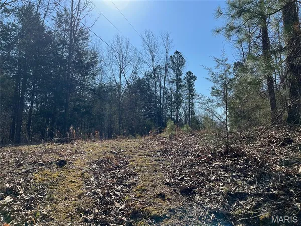 $110,000 | Parcel #2 Lake Road, Silva, MO 63964