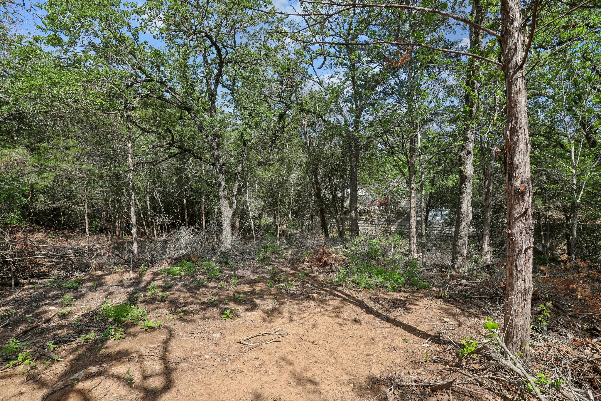 210 Flint Ridge Street Bastrop, TX 78602 - Photo 39 of 40 a big yard with lots of green space and fog