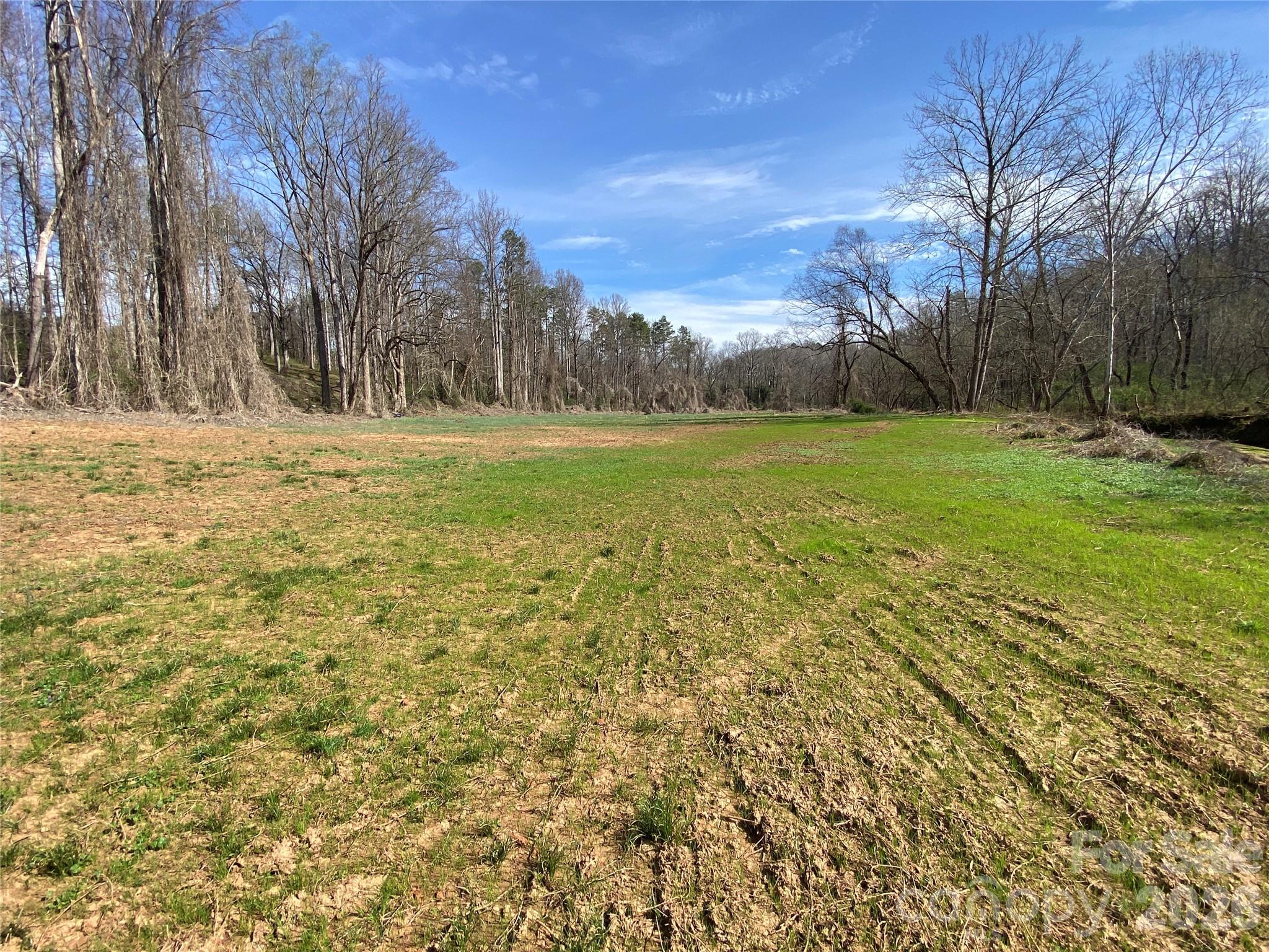 0 Coxe Road Rutherfordton, NC 28139 - Photo 3 of 20 a view of yard with green space