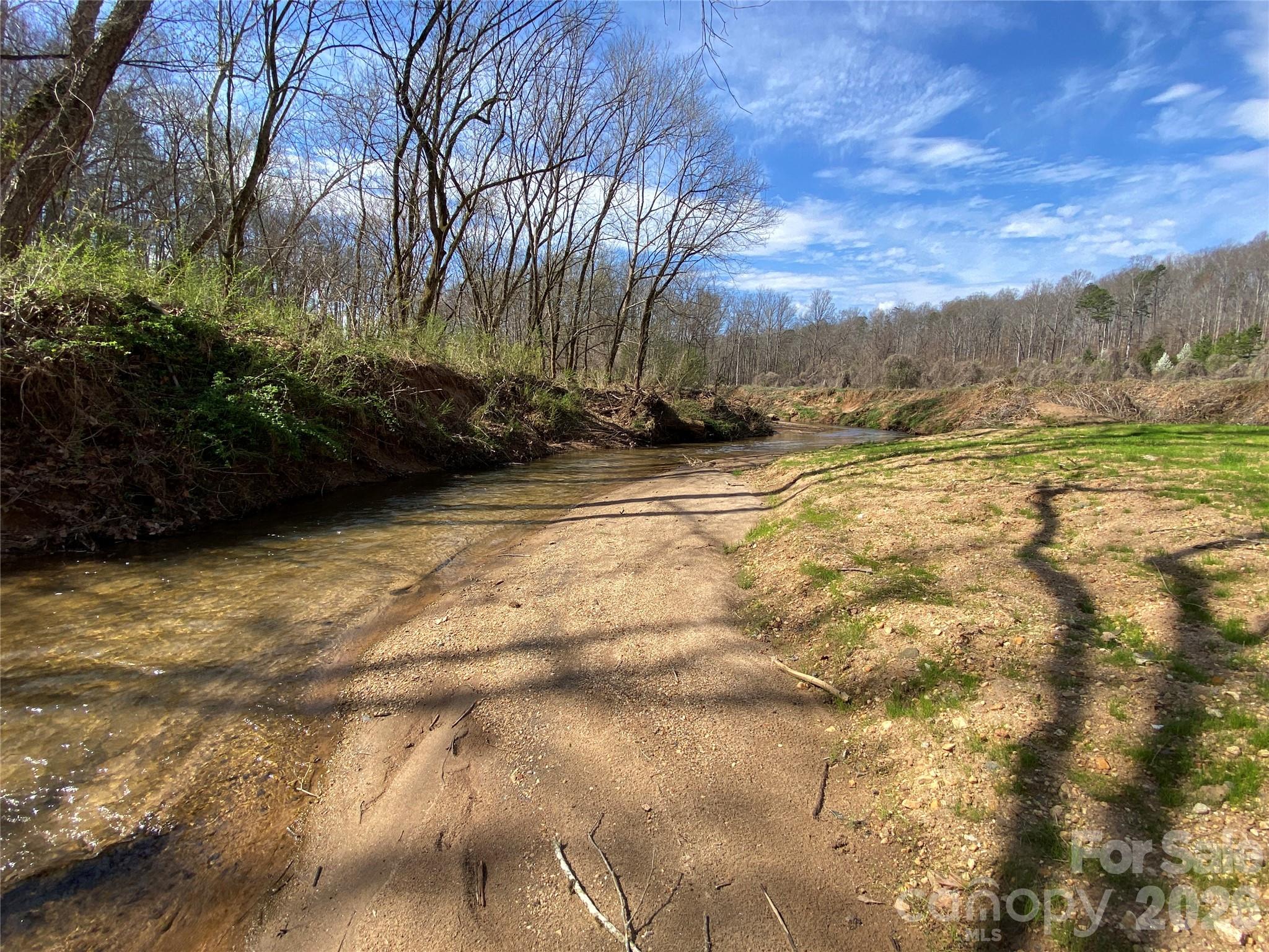 0 Coxe Road Rutherfordton, NC 28139 - Photo 6 of 20 a view of a yard with an trees