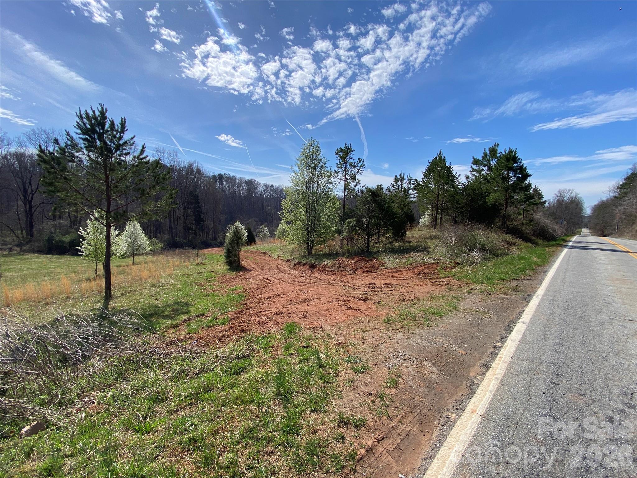 0 Coxe Road Rutherfordton, NC 28139 - Photo 8 of 20 a view of a park with a tree