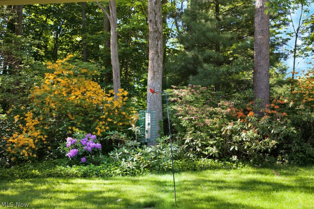 29999 Bolingbrook Road Pepper Pike, OH 44124 - Photo 4 of 25 Gallery Image 4