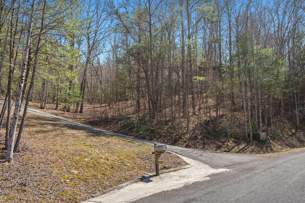 781 Fox Road Hiawassee, GA 30546 - Photo 39 of 43 Gallery Image 39