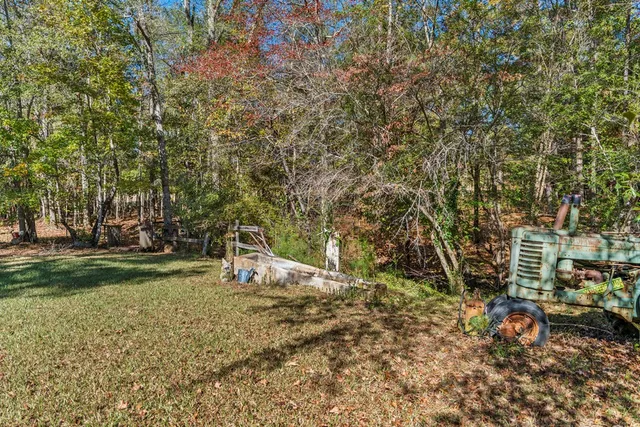 a view of a park with large trees