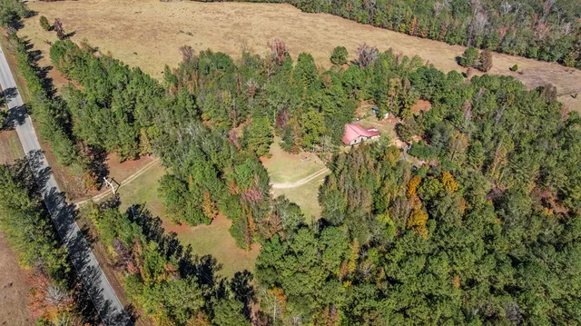 a view of a yard with a tree