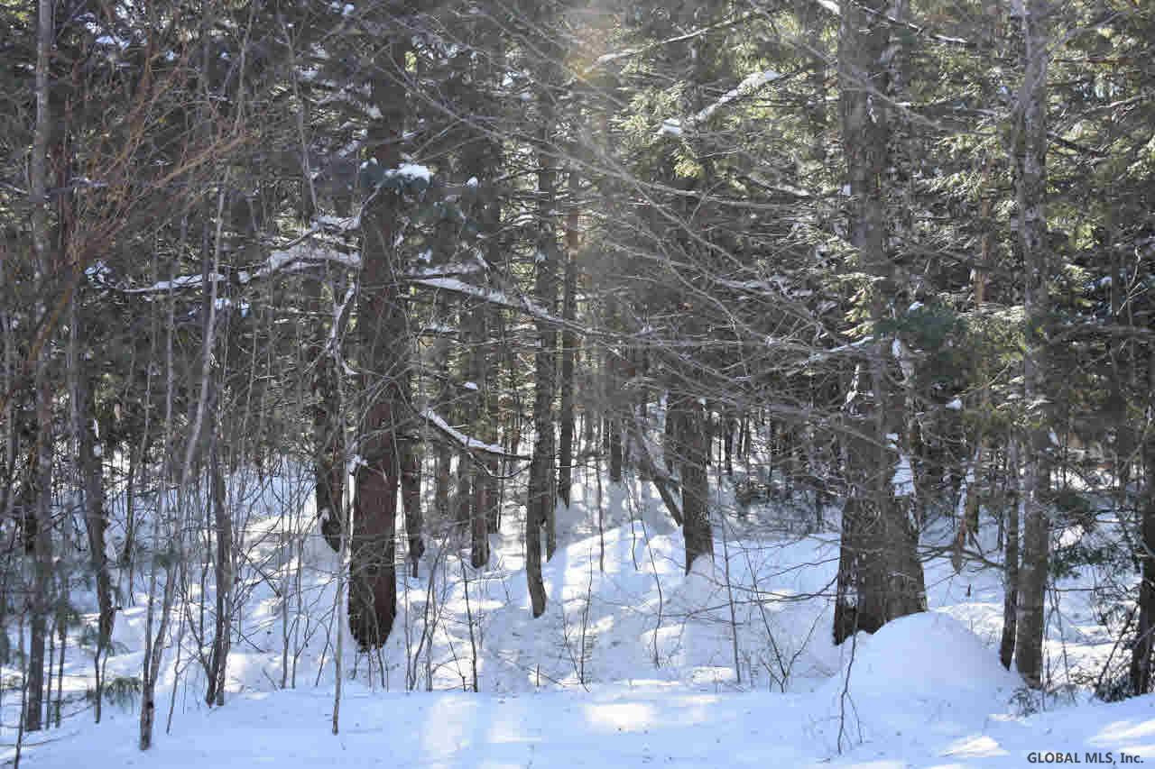 64 Carriage Road Chestertown, NY 12817 - Photo 11 of 14 Photo 11