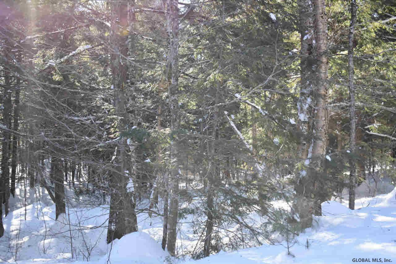 64 Carriage Road Chestertown, NY 12817 - Photo 12 of 14 Photo 12