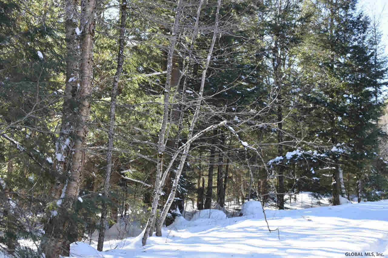 64 Carriage Road Chestertown, NY 12817 - Photo 13 of 14 Photo 13