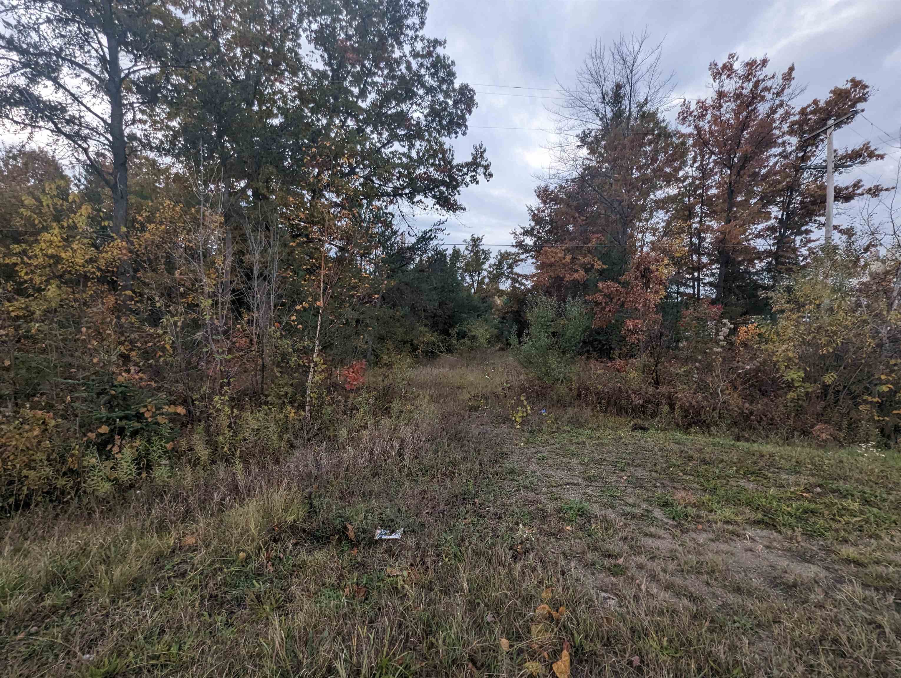 N/a East Huron Road Omer, MI 48749 - Photo 1 of 5