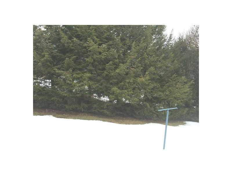 2084 Mercer Road New Brighton, PA 15066 - Photo 22 of 23 Yard/Garden.