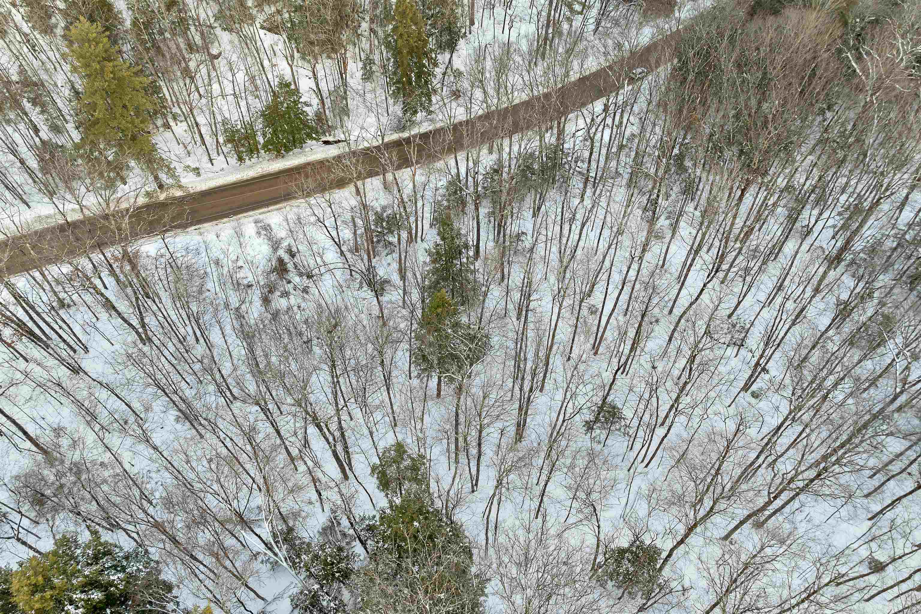 0 Texas Hill Road Plymouth, NH 03264 - Photo 6 of 9