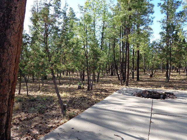 692 West Rim Road Road Pinetop, AZ 85935 - Photo 19 of 23