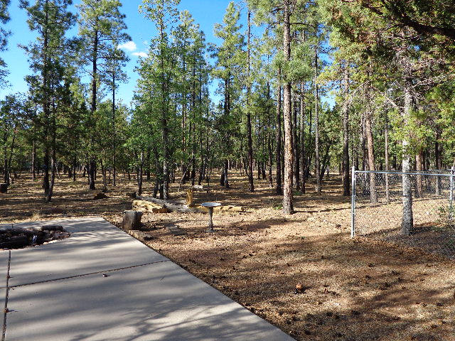 692 West Rim Road Road Pinetop, AZ 85935 - Photo 20 of 23