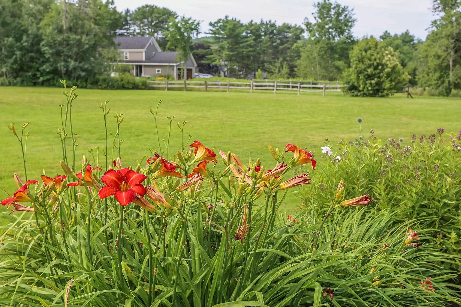 128 City Point Road Belfast, ME 04915 - Photo 36 of 52 image(1551)