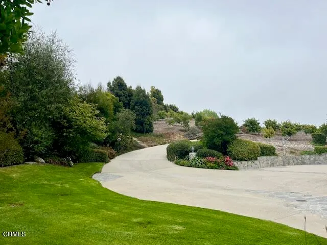 a view of street along with house and trees