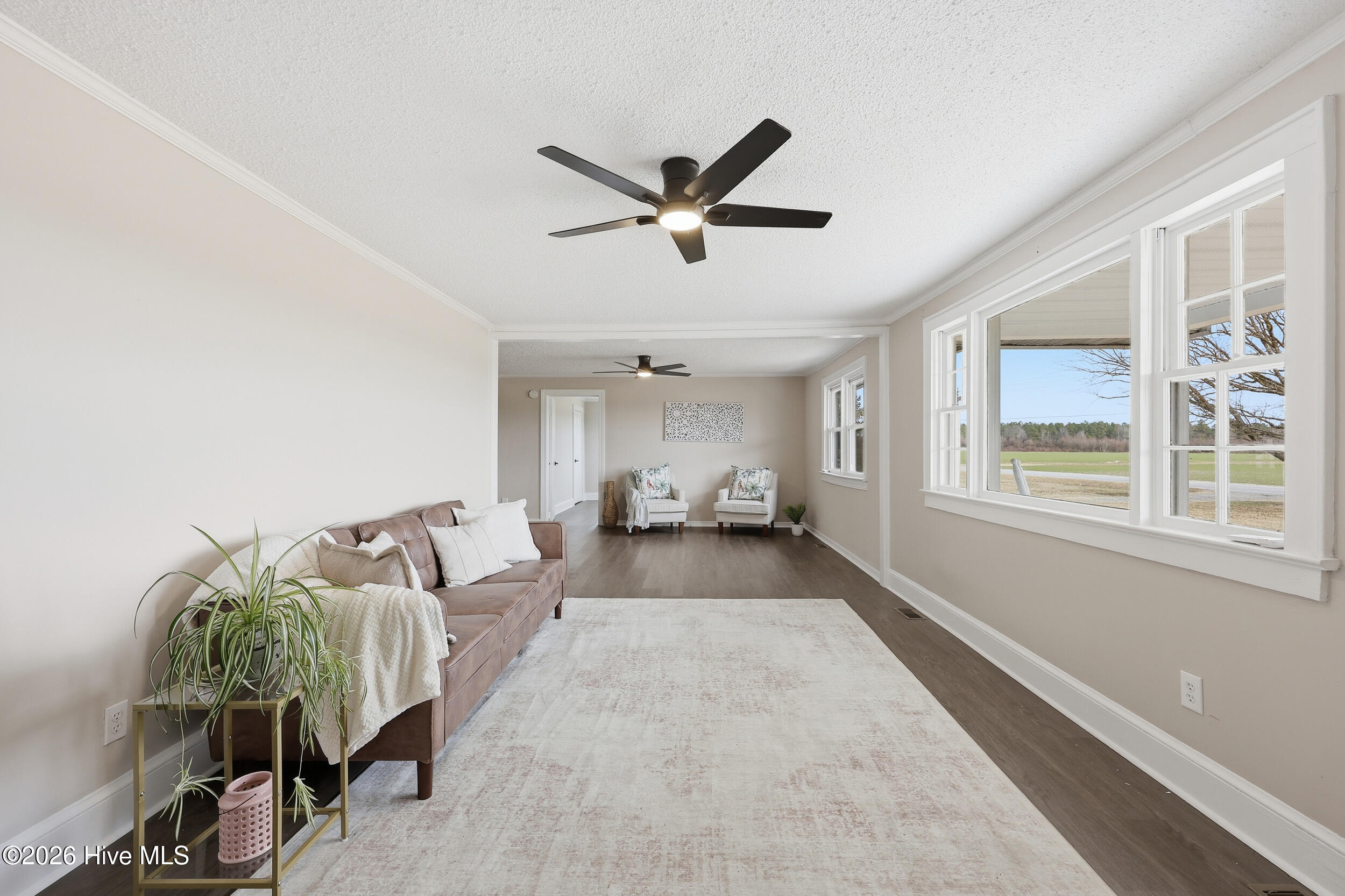 449 Sandy Ridge Road Edenton, NC 27932 - Photo 3 of 22