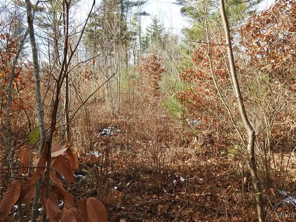 $142,500 | 3513 Marmon Road, Lyonsdale, NY 13433