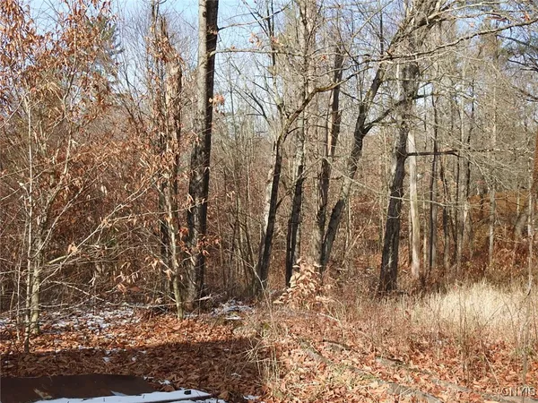 $142,500 | 3513 Marmon Road, Lyonsdale, NY 13433