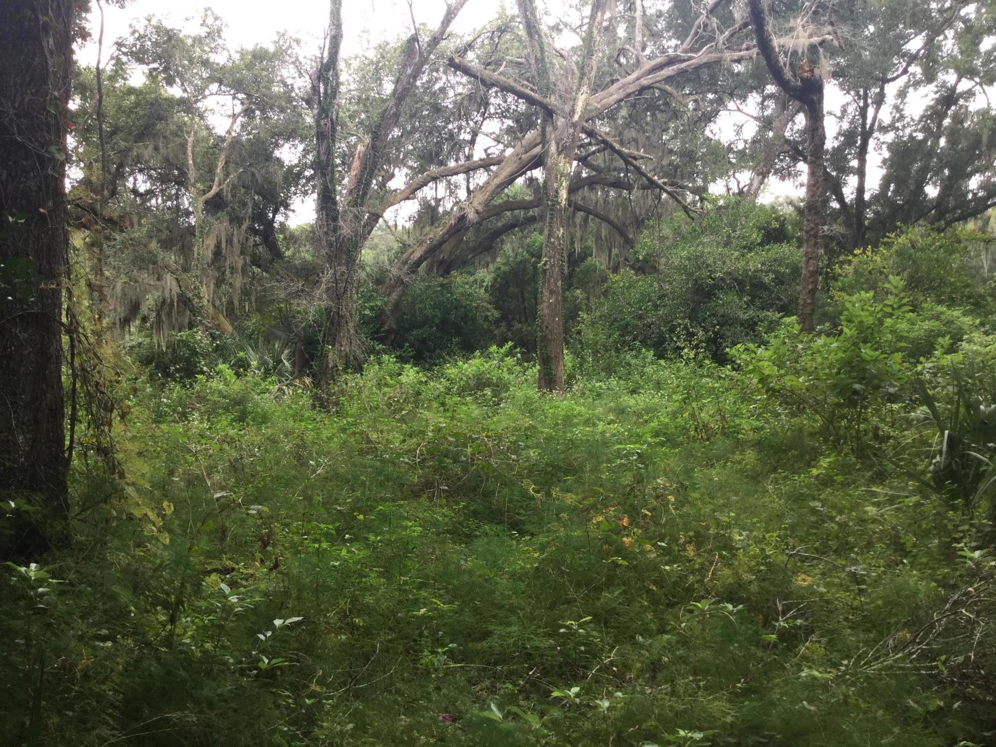 O Stone Road DeLand, FL 32720 - Photo 8 of 15 2CC45ECA-6F8E-4E6C-B9F9-FFE2C1EC3FAB
