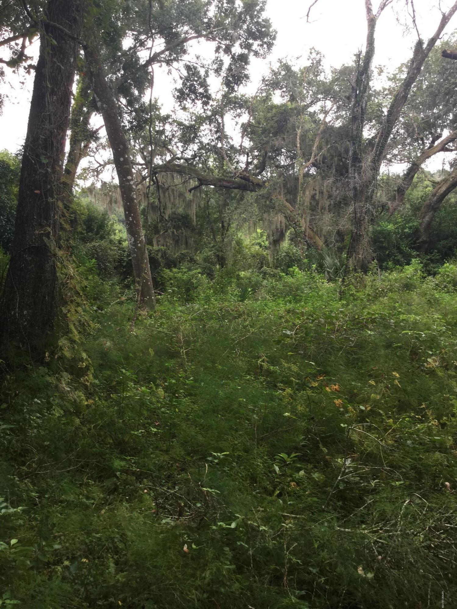 O Stone Road DeLand, FL 32720 - Photo 10 of 15 6A589772-2308-45F9-BE7B-197A83AC99FC
