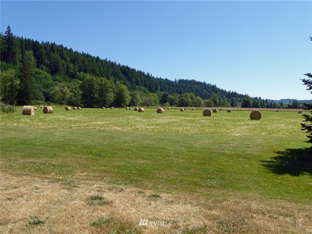 210 Brooklyn Road Oakville, WA 98568 - Photo 25 of 25 Gallery Image 25