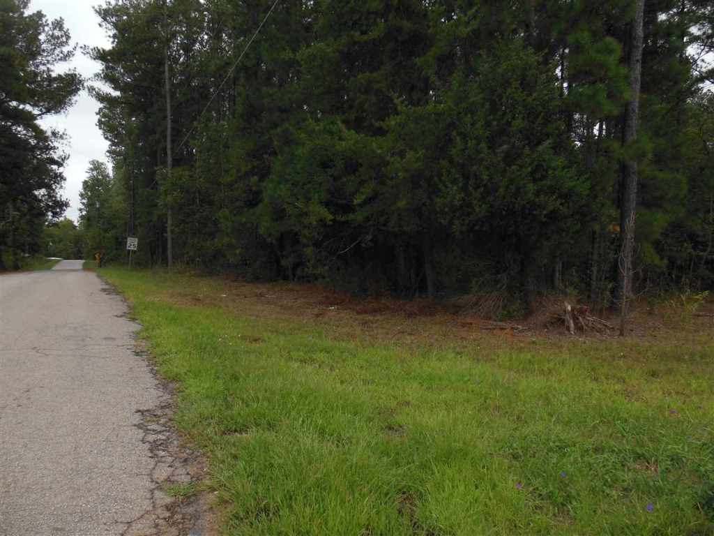 4.05-acres Pearman Dairy Road Anderson, SC 29625 - Photo 2 of 3 Gallery Image 2