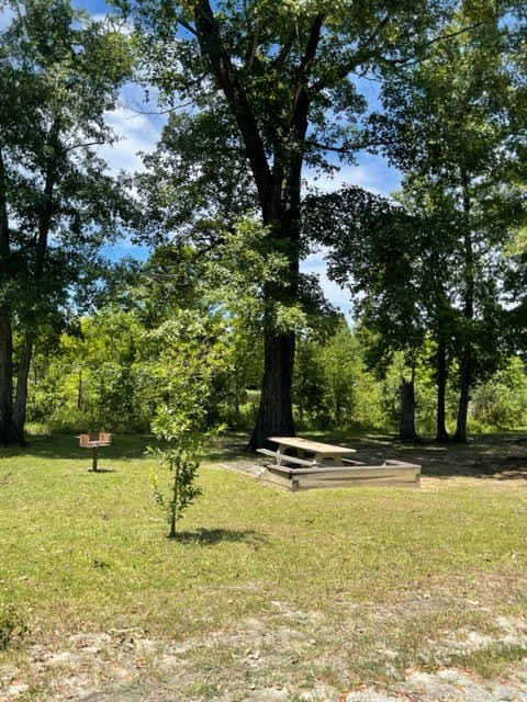 24 Briar Creek Road Pittsview, AL 36871 - Photo 35 of 43 Hatchechubbee Creek Park