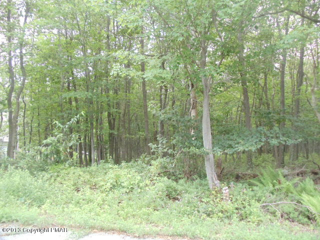 2192 Spokane Road Albrightsville, PA 18210 - Photo 1 of 13 Lot 2192 Spokane