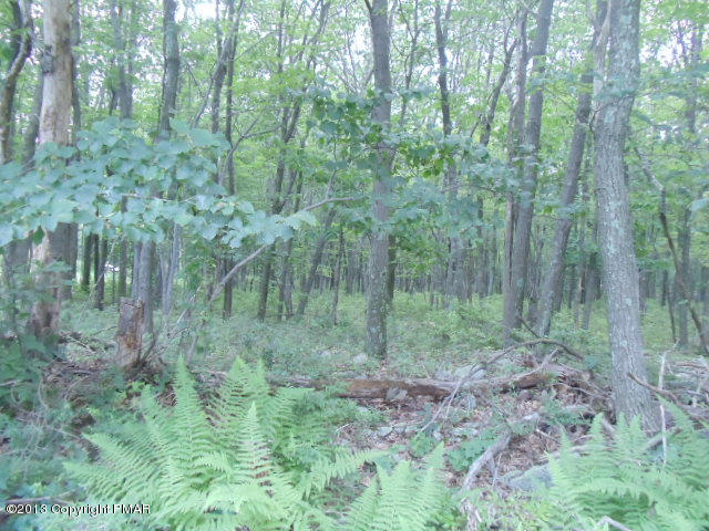 2192 Spokane Road Albrightsville, PA 18210 - Photo 11 of 13 Lot 2192 Spokane