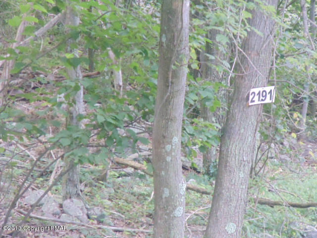 2192 Spokane Road Albrightsville, PA 18210 - Photo 12 of 13 Lot on right of subject for sale 2192