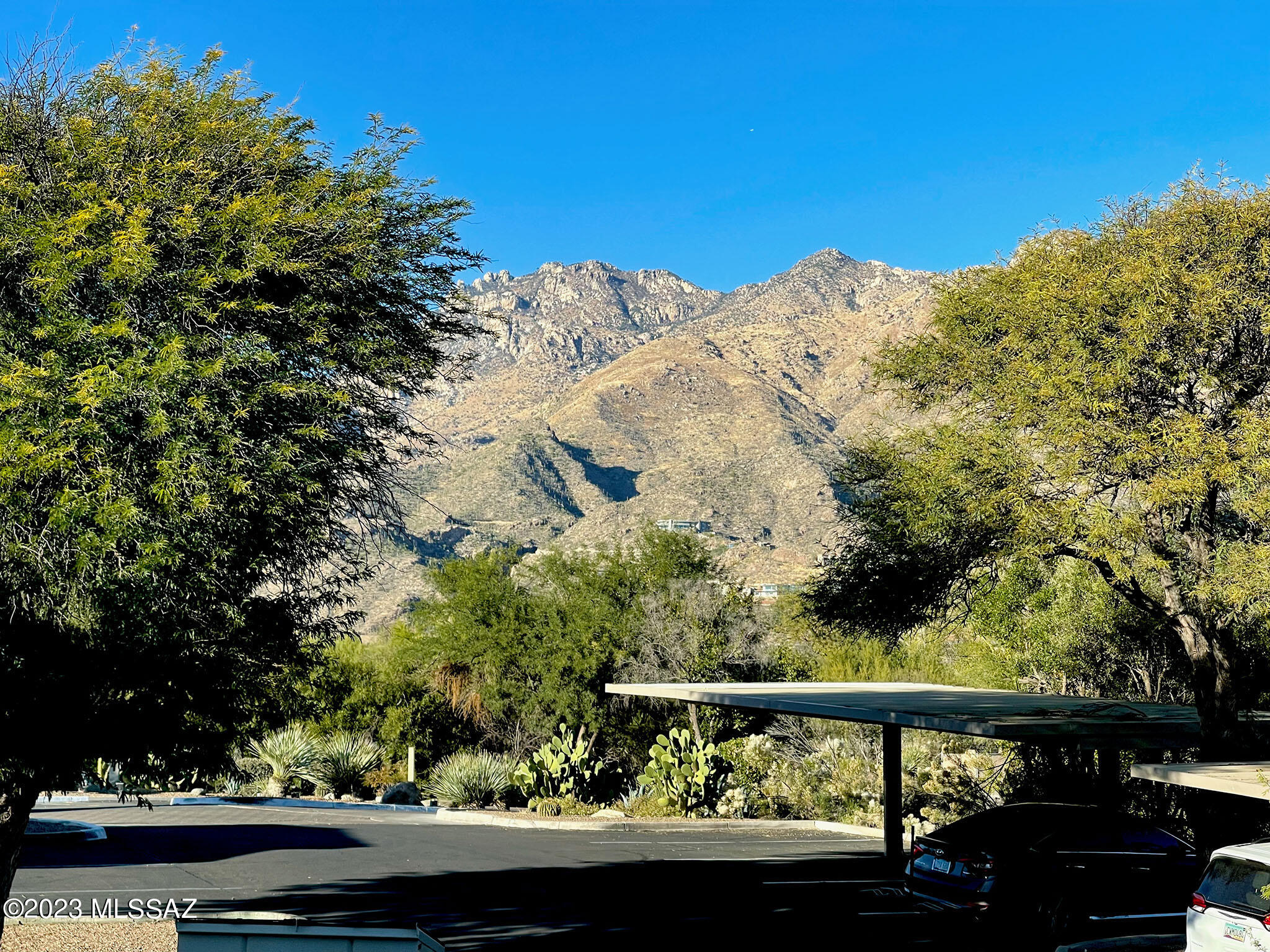 5855 North Kolb Road Tucson, AZ 85750 - Photo 12 of 20 aa9b6447-8439-40f1-b641-aed3b26e171d
