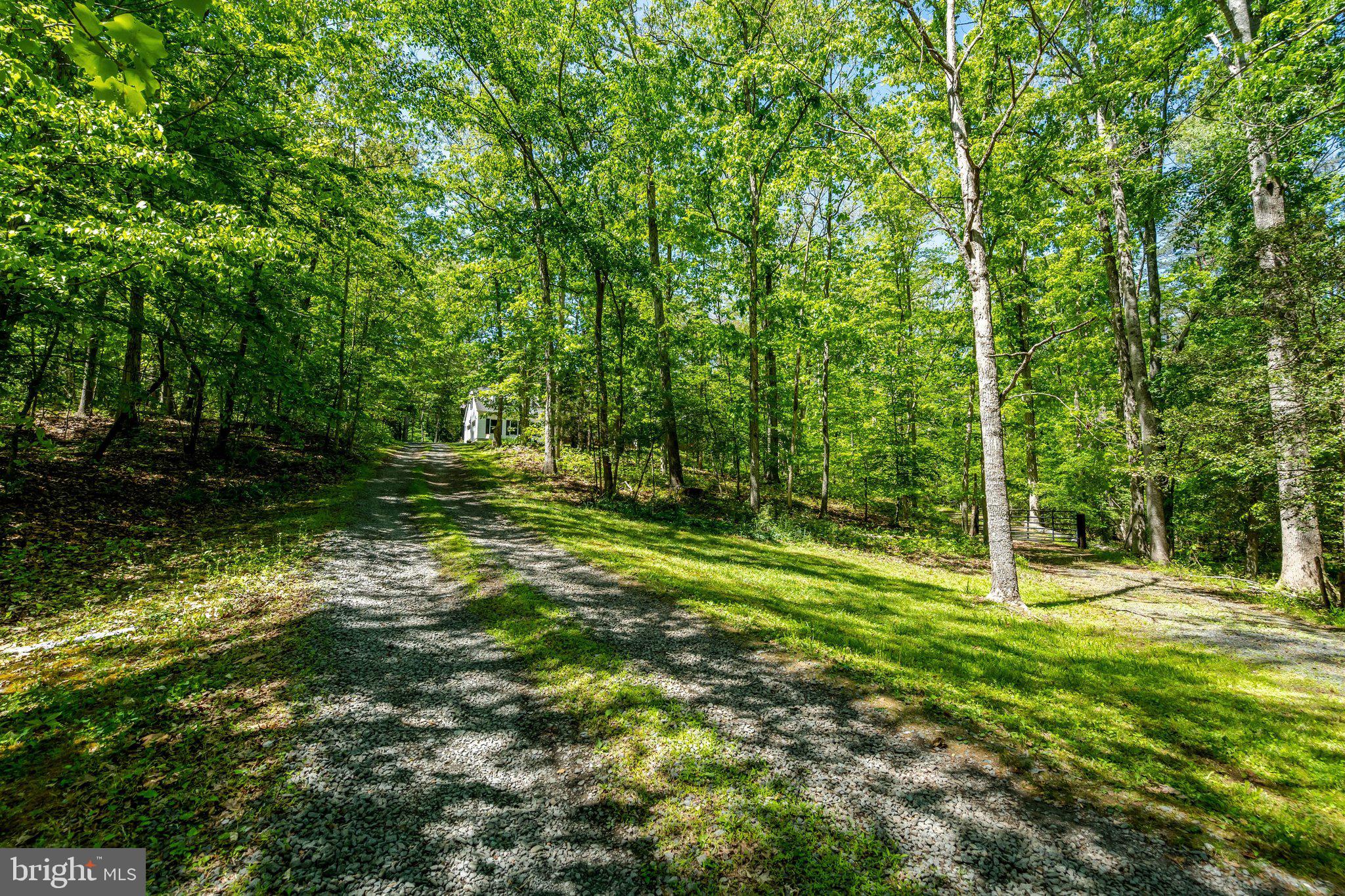 2429 Cromwell Road Catlett, VA 20119 - Photo 2 of 71 Driveway leads you home to 2429 Cromwell Road!