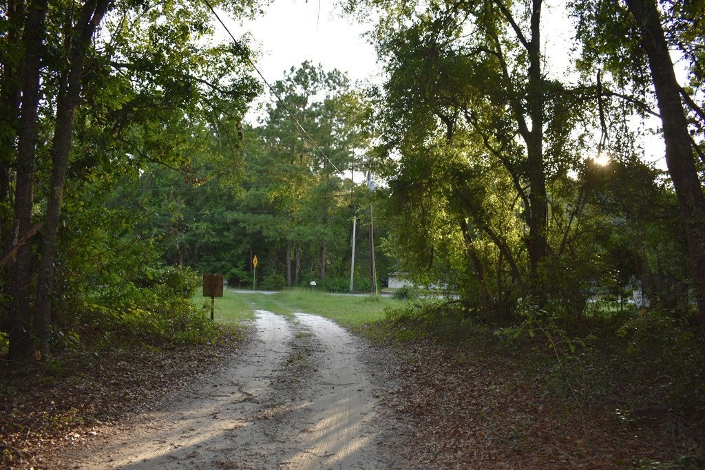 68 Barber Road Ray City, GA 31645 - Photo 10 of 23 Gallery Image 10