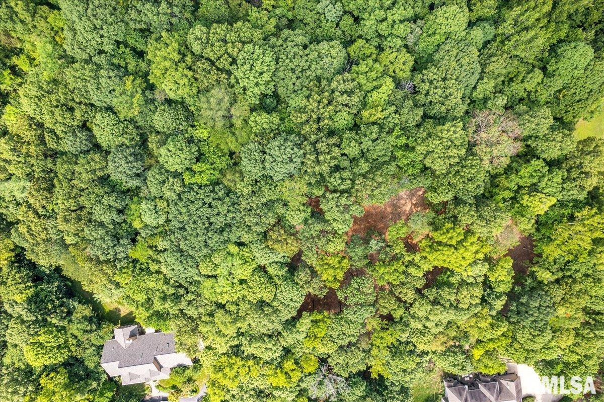 North Ivy Lake Road Chillicothe, IL 61523 - Photo 8 of 27