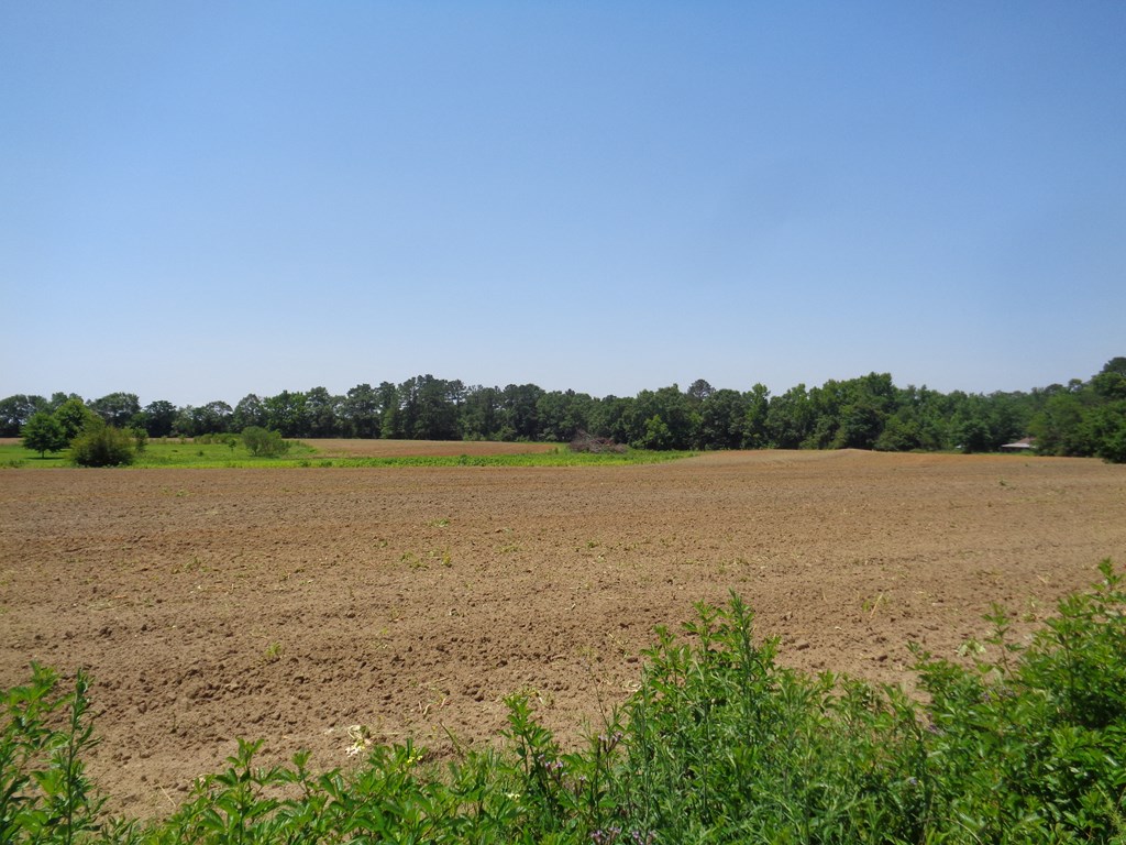 8-ac Littlefield Road Dothan, AL 36301 - Photo 3 of 9