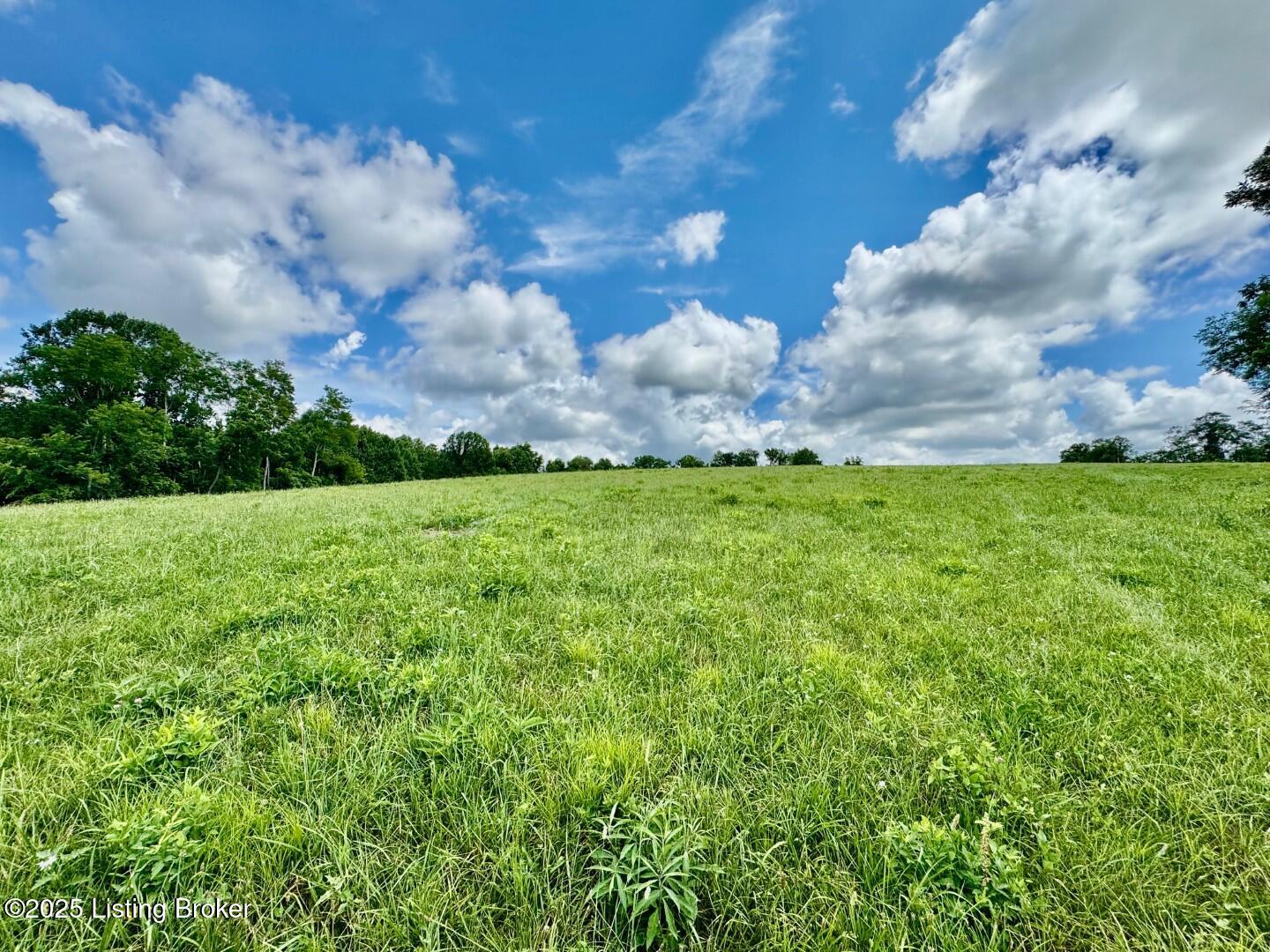 6 Long Lick Lane Springfield, KY 40069 - Photo 1 of 6 Tract 6